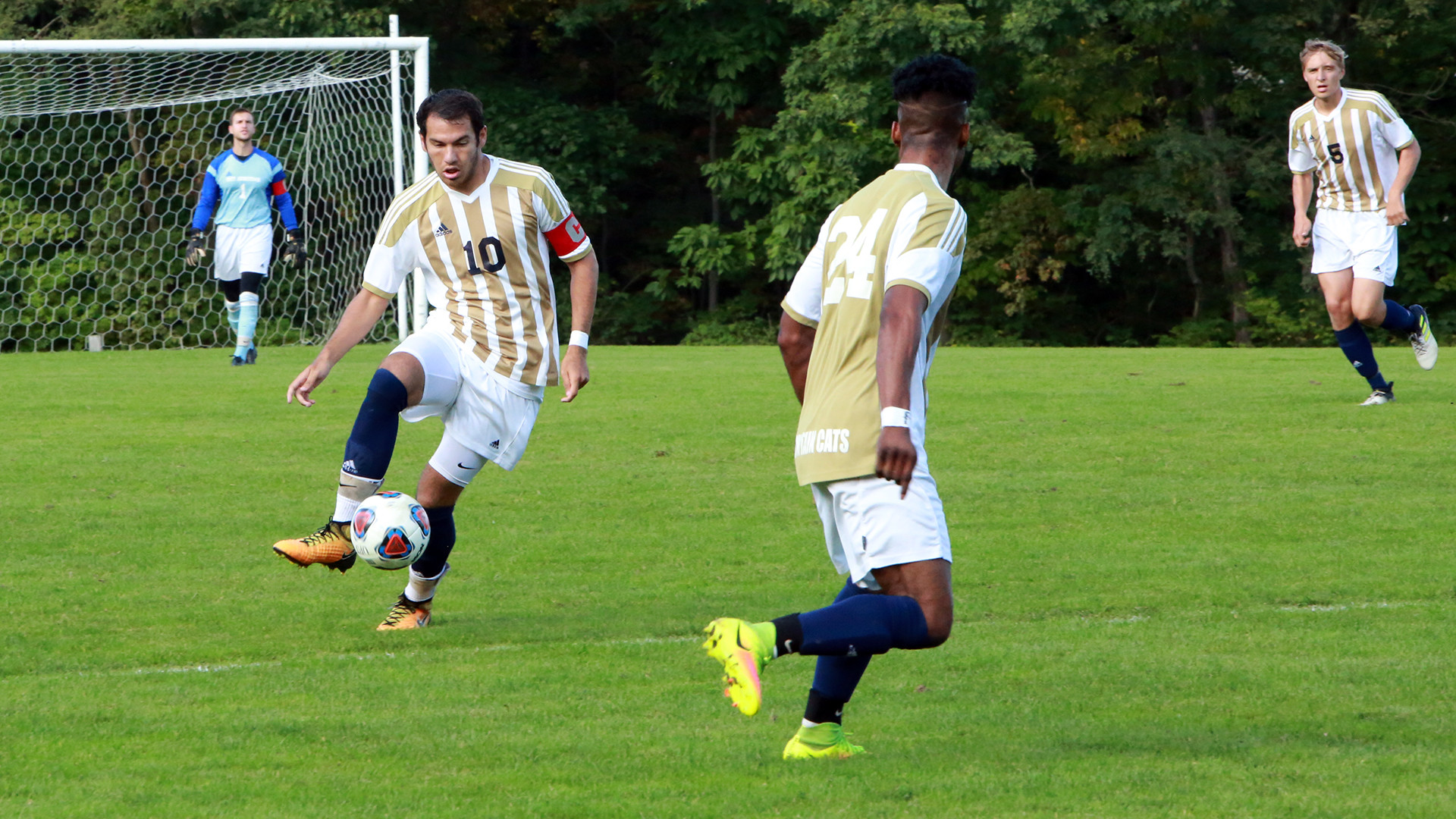 University Of Pittsburgh Mens Soccer Id Camp - University Poin